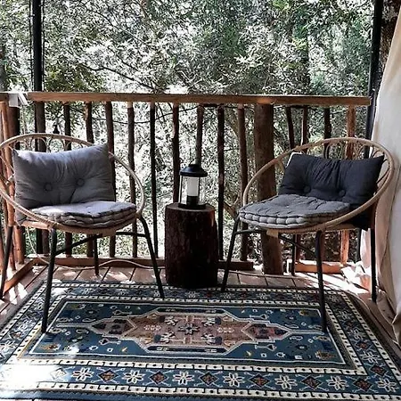 Portugal Glamping Tree House In Vieira De Leiria, For Vacations Near Sintra Ferienhaus Vimeiro (Leiria)