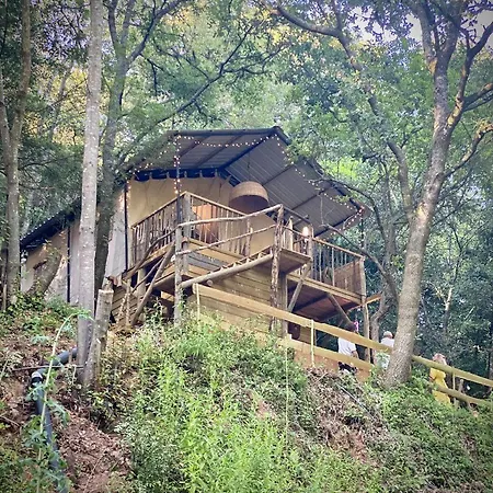 Ferienhaus Portugal Glamping Tree House In Vieira De Leiria, For Vacations Near Sintra