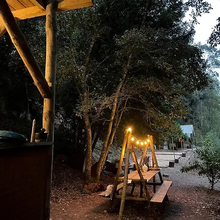 Portugal Glamping Tree House In Vieira De Leiria, For Vacations Near Sintra Ferienhaus *