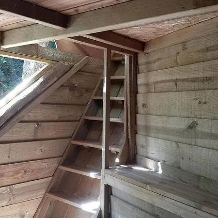 Portugal Glamping Tree House In Vieira De Leiria, For Vacations Near Sintra *