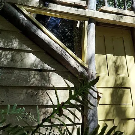 Portugal Glamping Tree House In Vieira De Leiria, For Vacations Near Sintra *